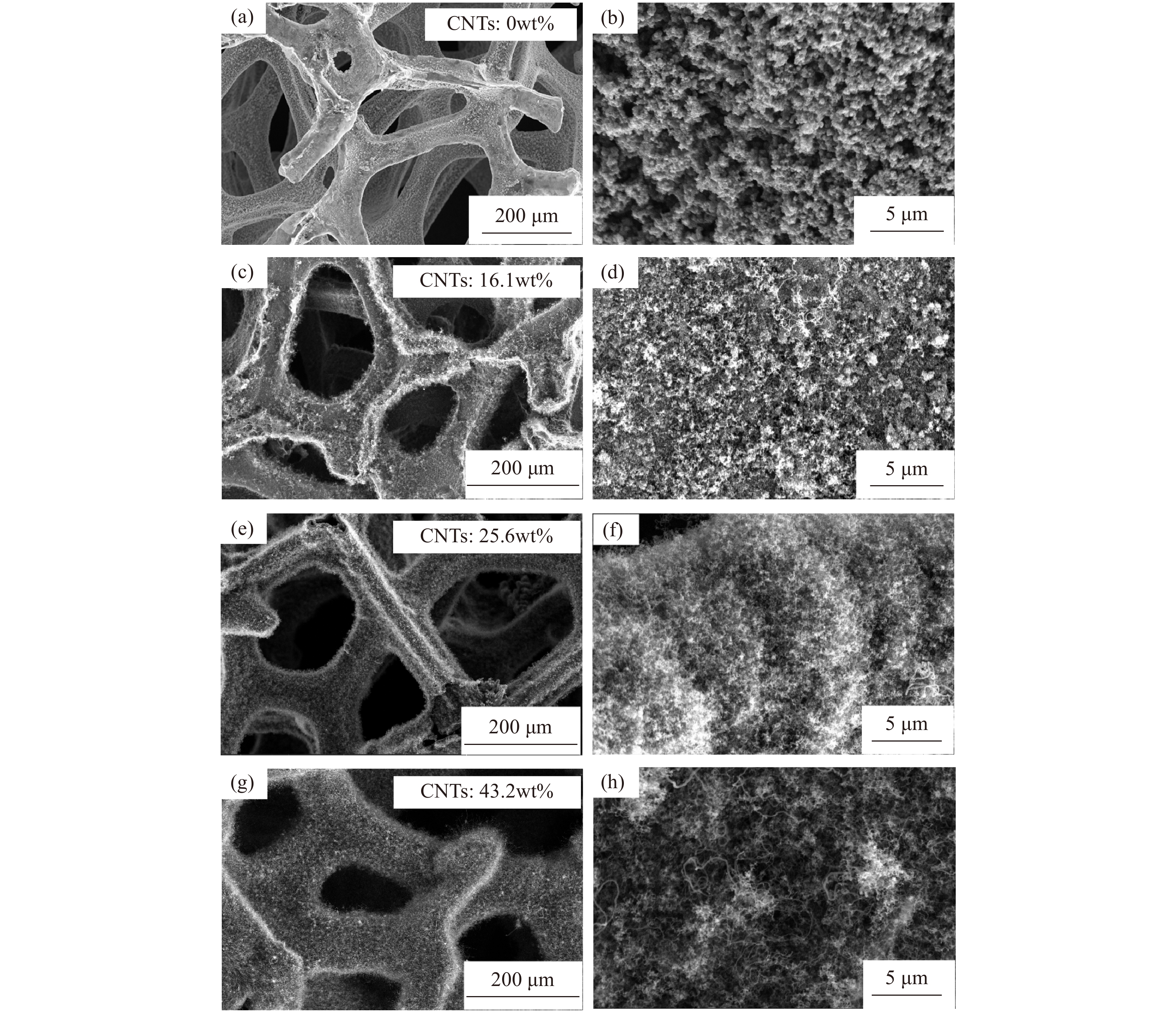 SEM images of PyC foam and CNTs/PyC foam at different reaction times: (a–b)  0 min; (c–d) 10 min; (e–f) 30 min; (g–h) 50 min.