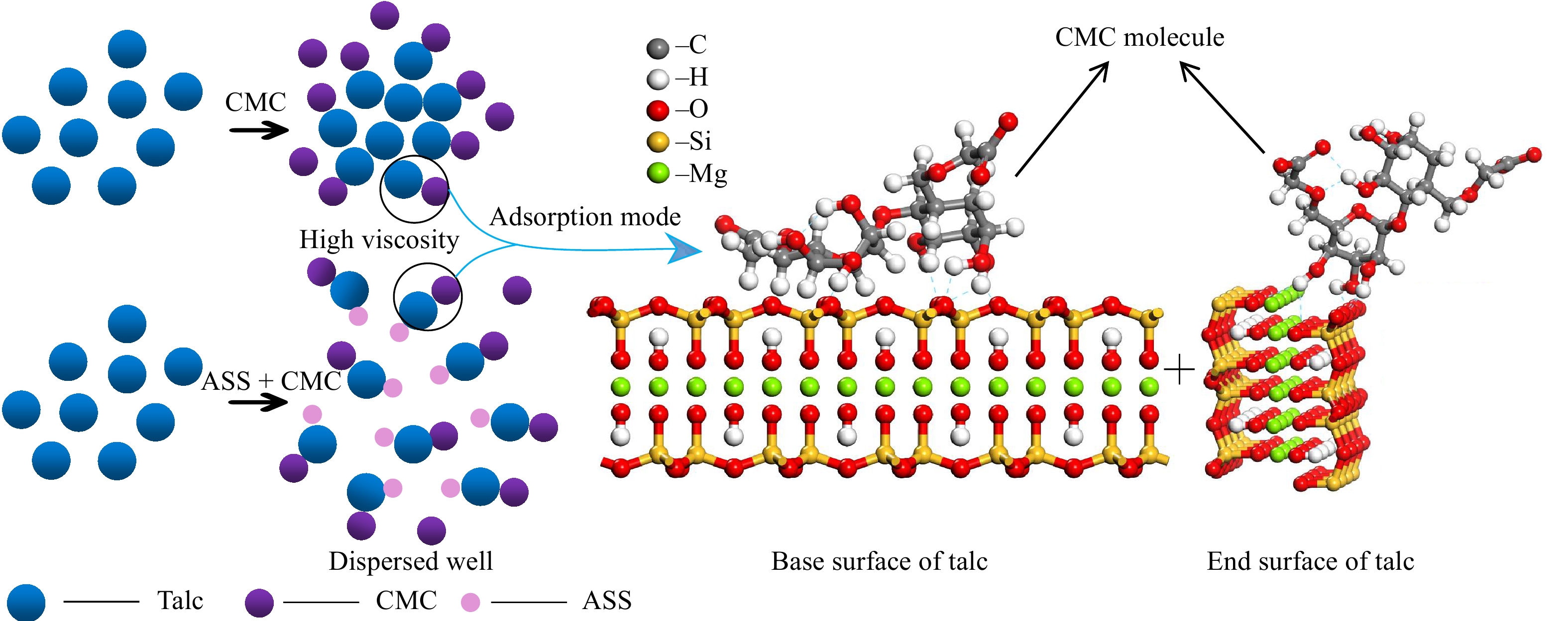 Schematic of combined inhibition mechanism of ASS and CMC on talc.