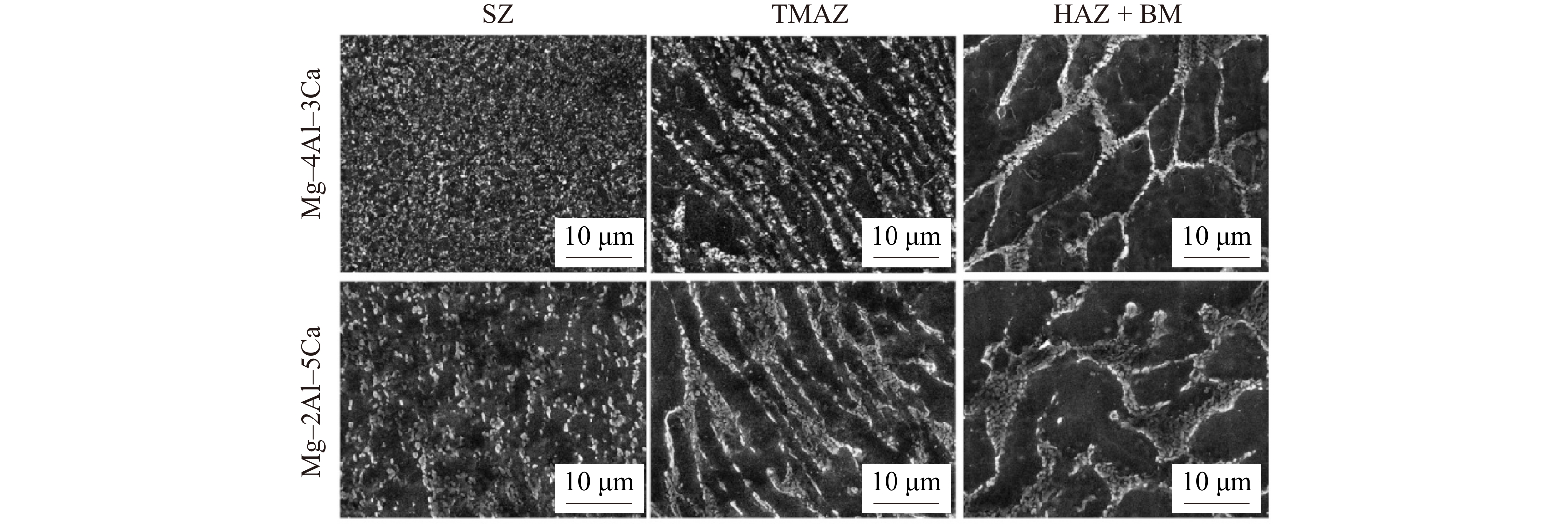 Schematic representation of the surface composite fabrication by FSP.