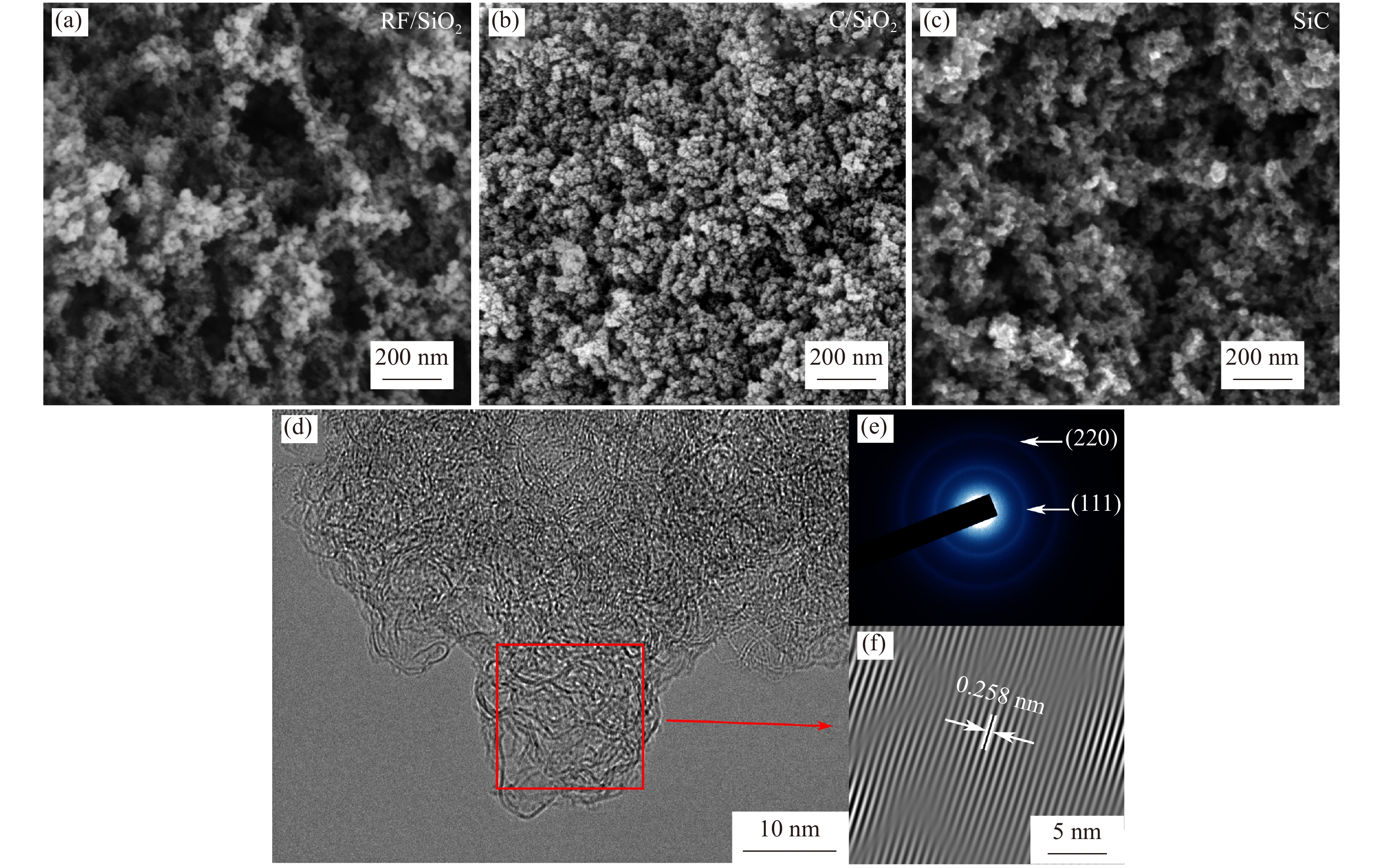 Microwave absorption and thermal properties of coral-like