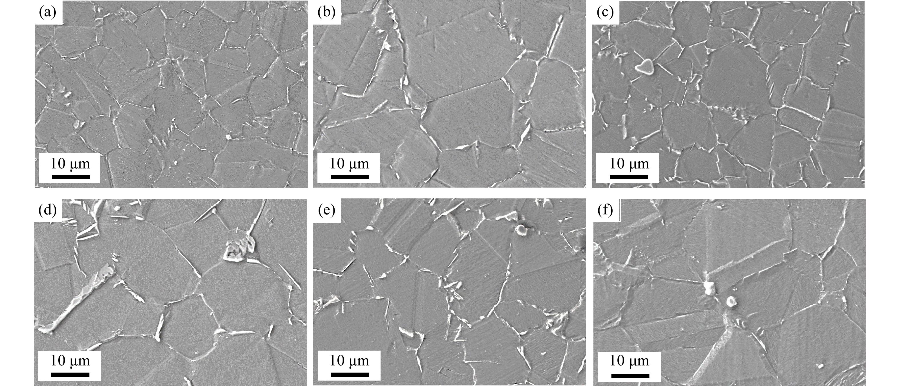 SEM images of Inconel 718 alloy after different two-step