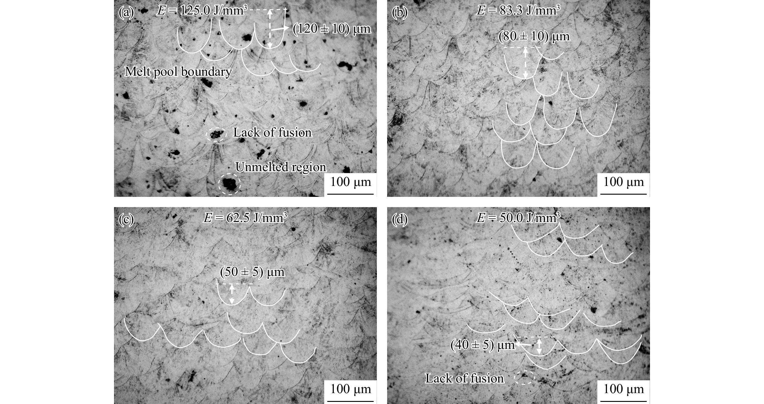 Unveiling the cellular microstructure–property relations in
