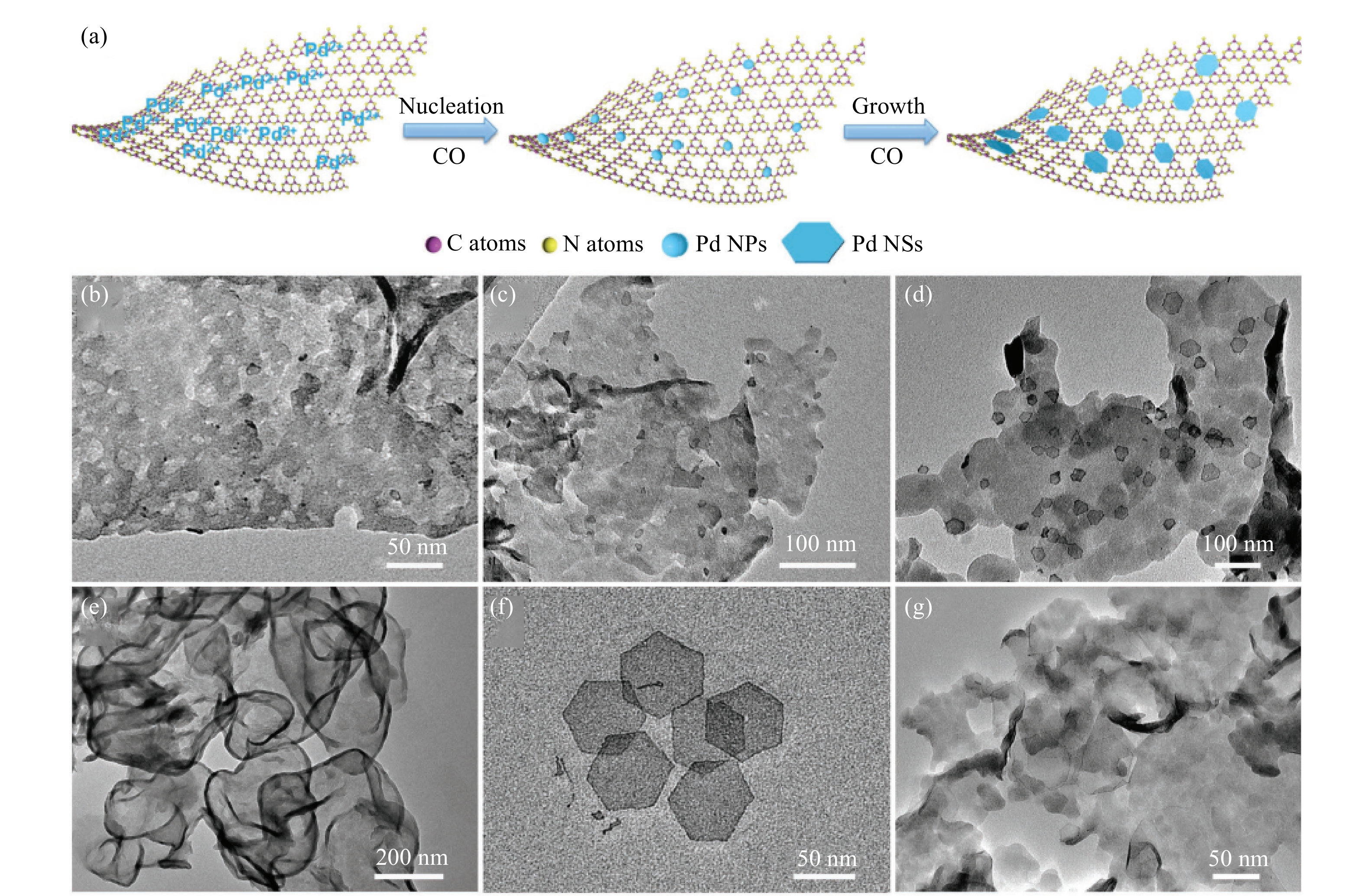 a–f) TEM images of Cu-modified g-C3N4 (CCN) at different