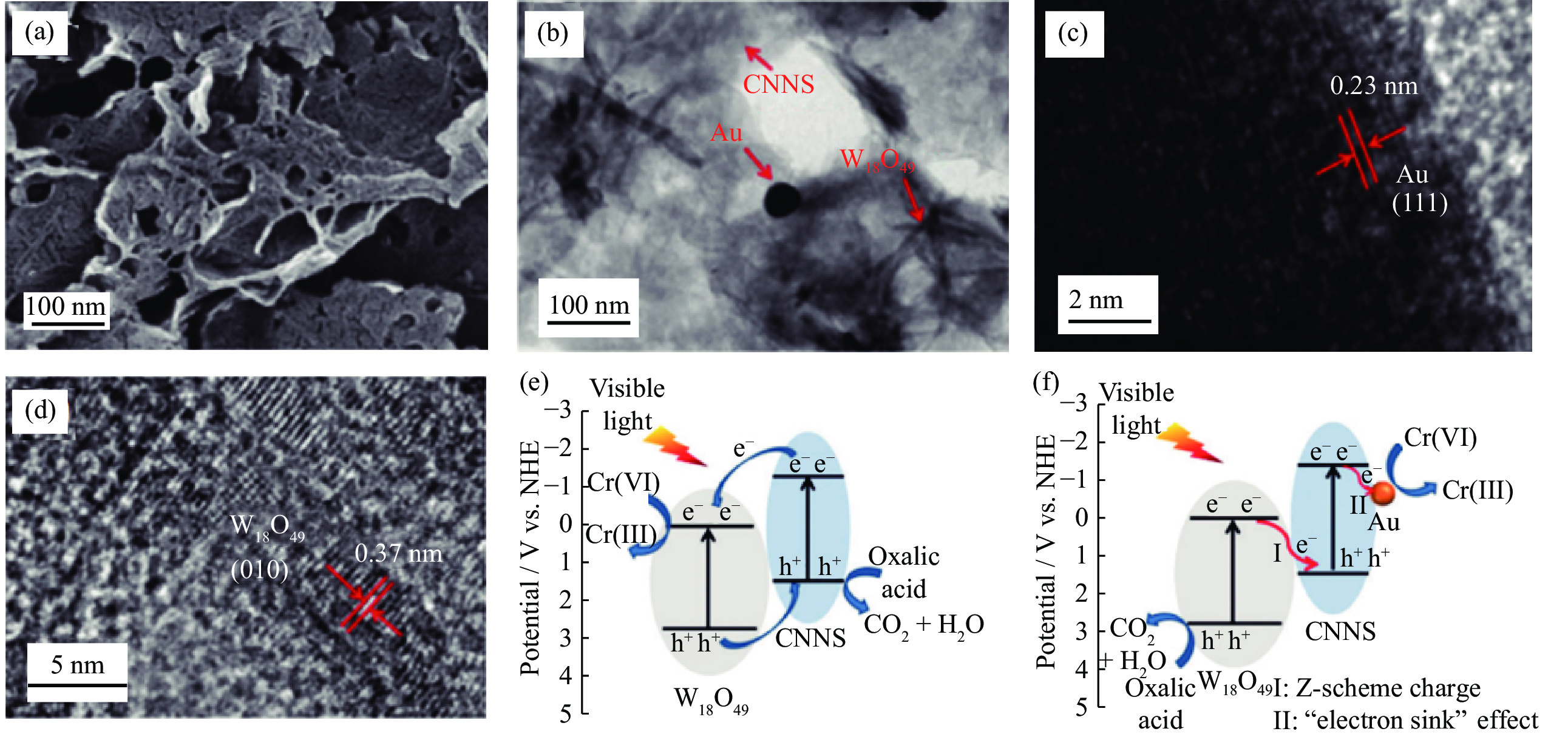 その他 F* a) Structure of the Au/Ru core–shell composite materials and (b–c