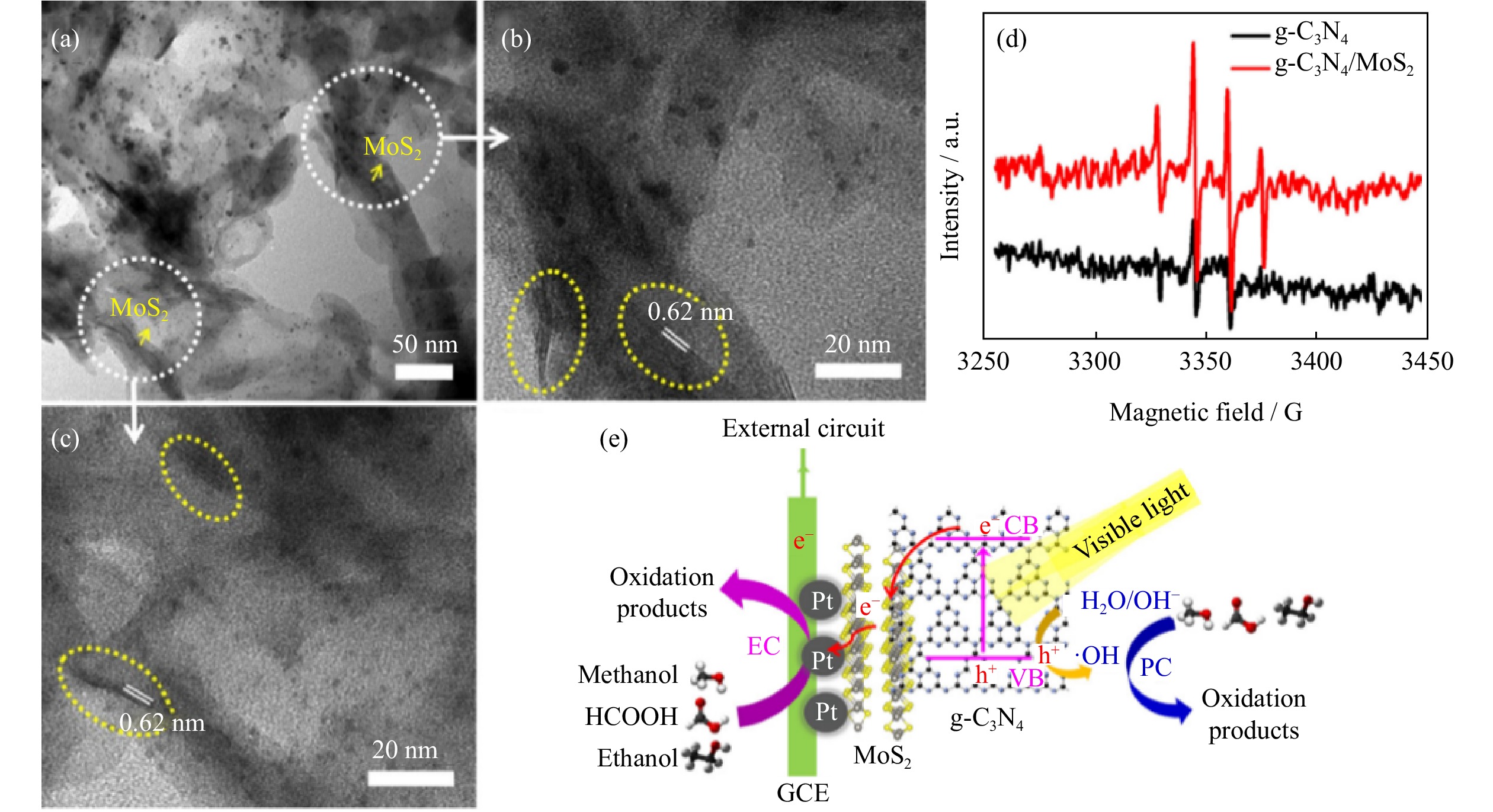 その他 n Structure–activity relationships in the development of single atom