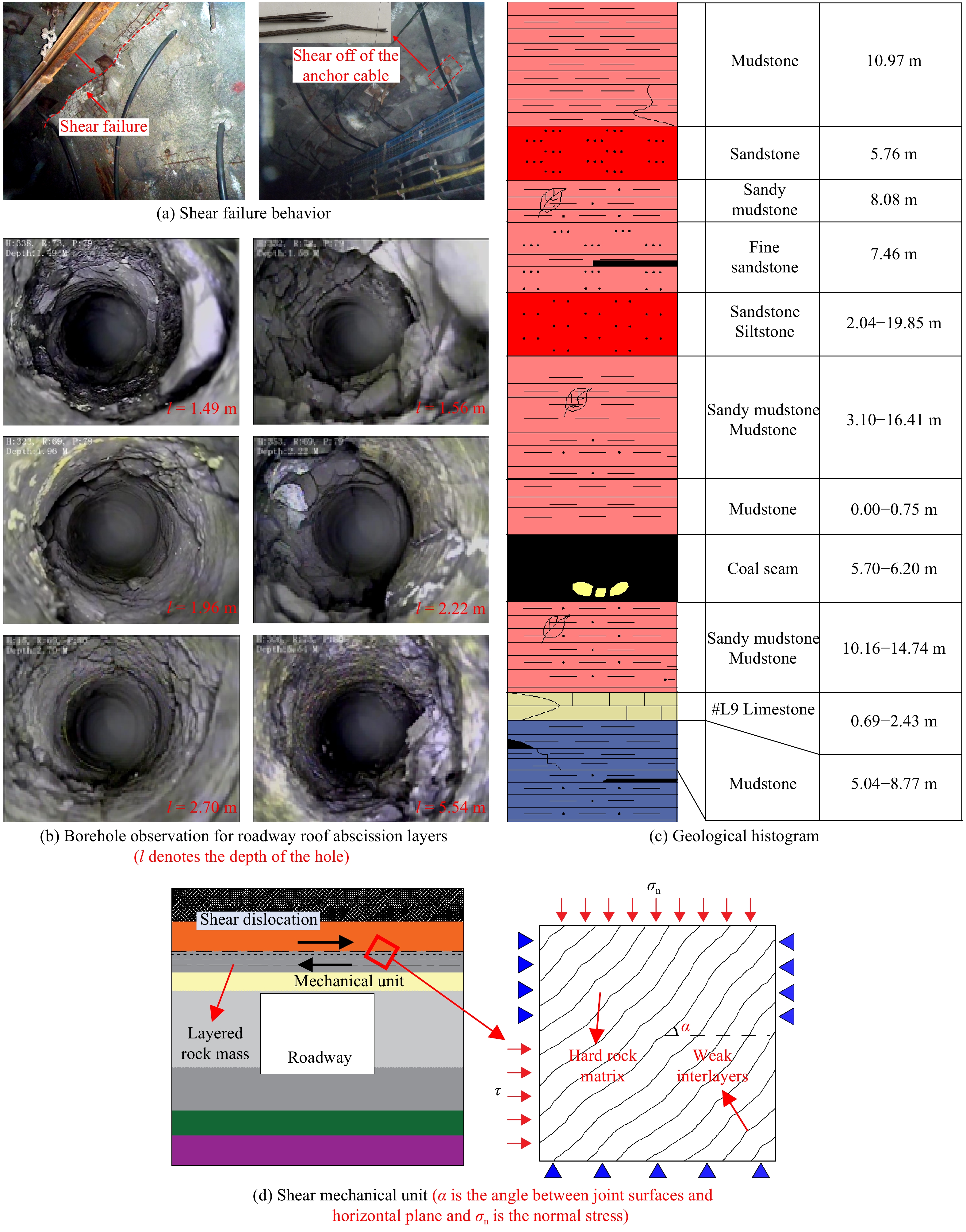 Shear mechanical properties and fracturing responses of layered