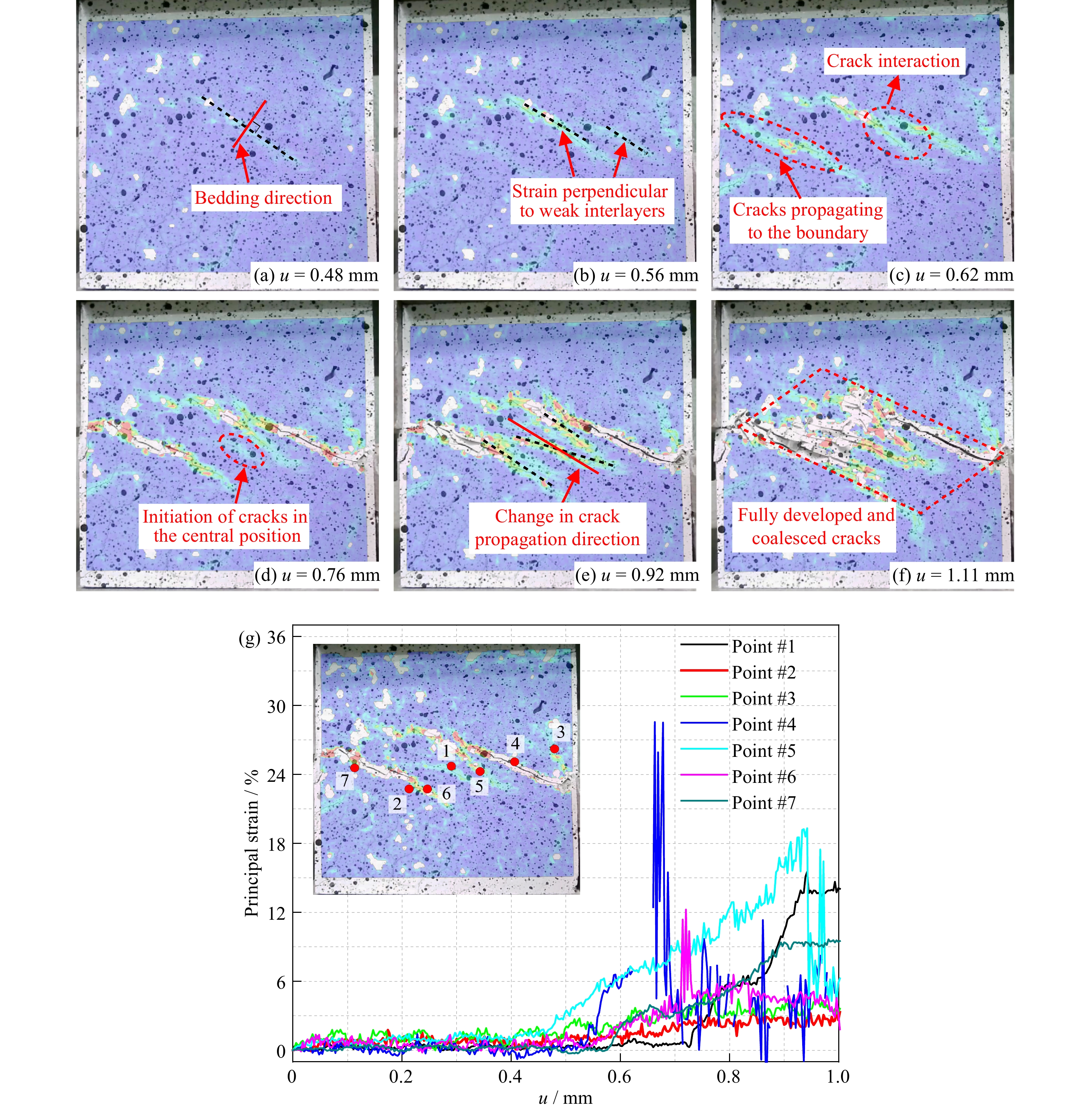 Shear mechanical properties and fracturing responses of layered