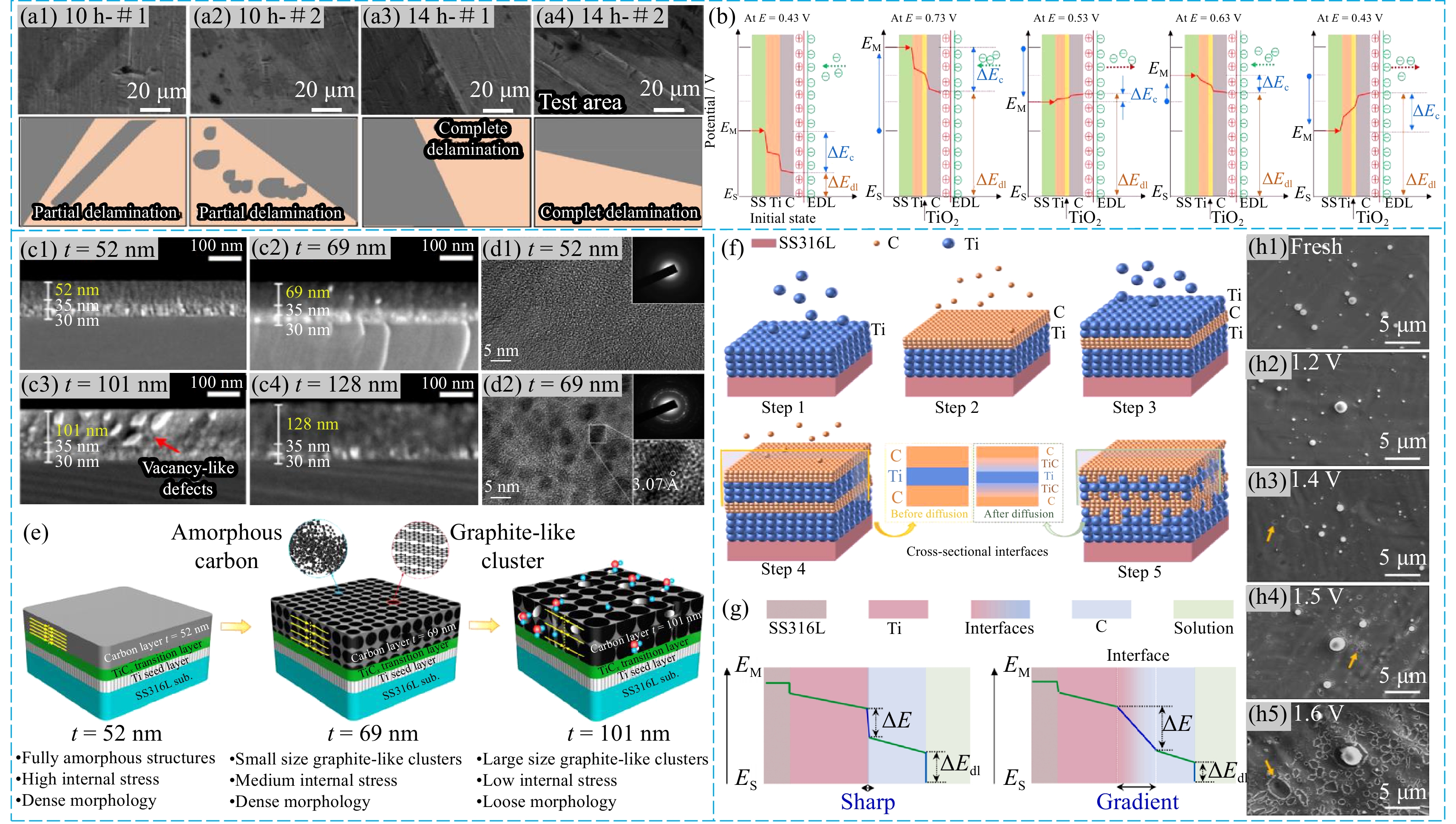 サンプル Full article: Effect of compound system of bifunctional