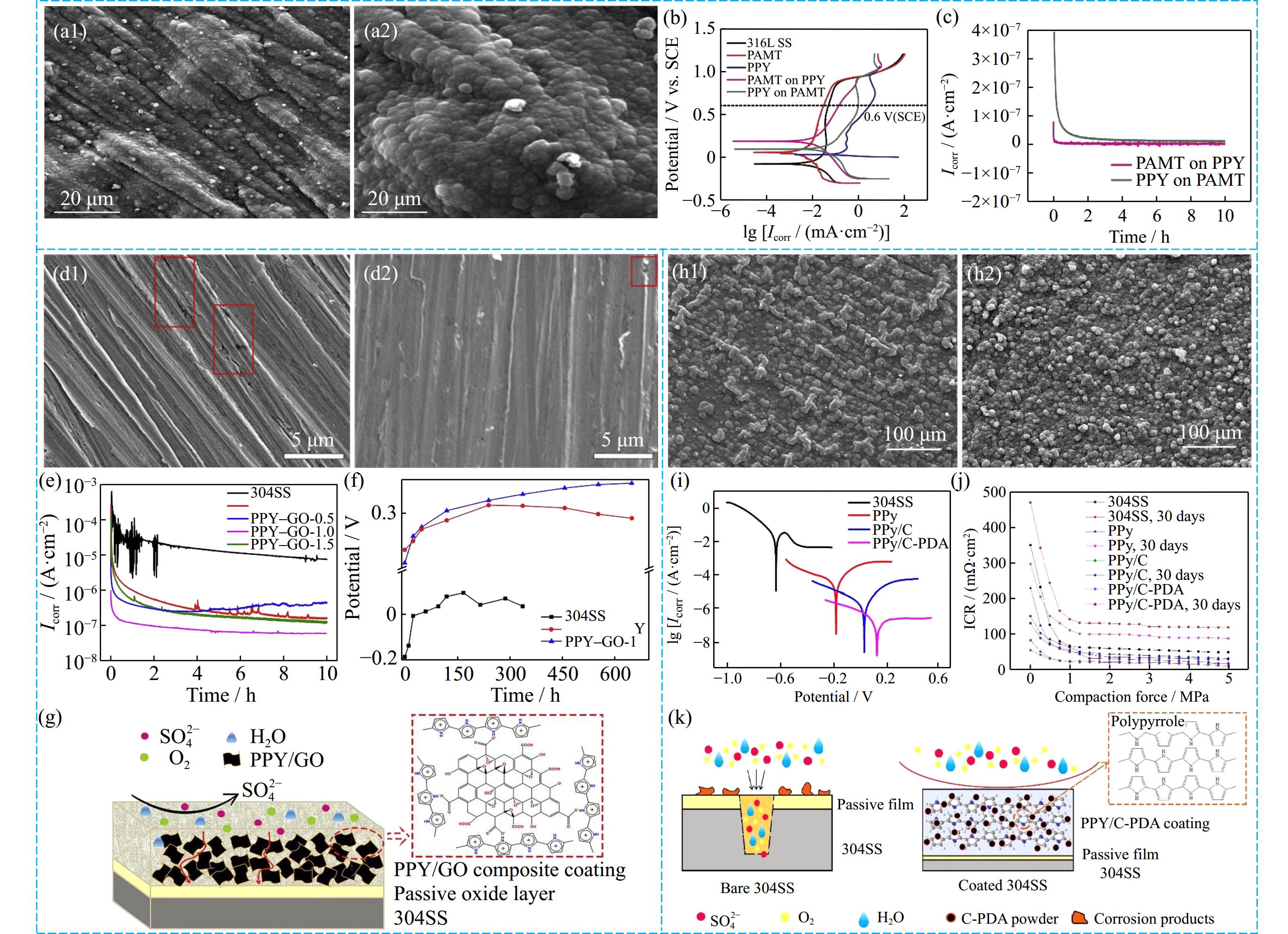 a1) and (a2) scanning electron microscope (SEM) images of PAMT on
