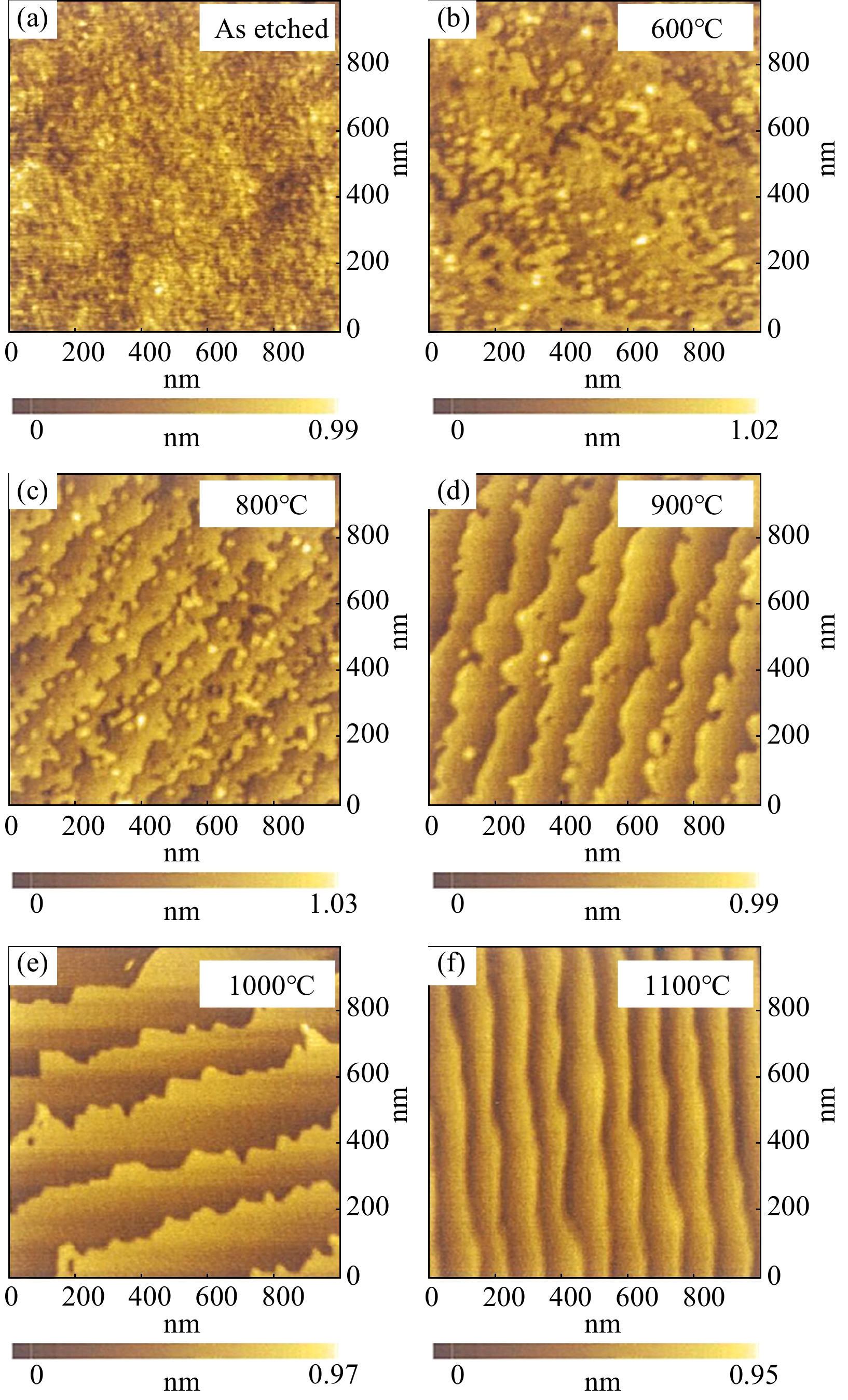 AFM images (1 mm × 1 mm) of β-Ga2O3 (100) surfaces after annealing