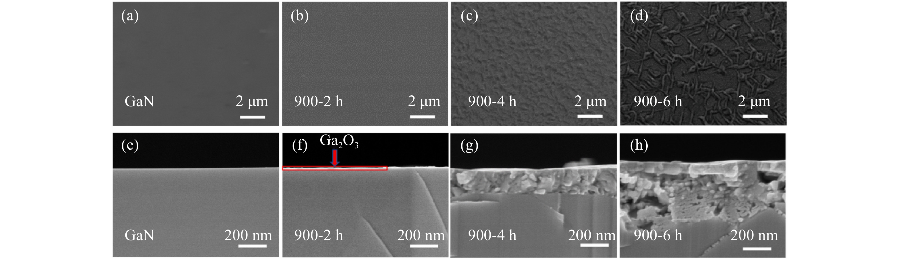 専用ページC-2 Comparison of line profiles generated by multivariate curve