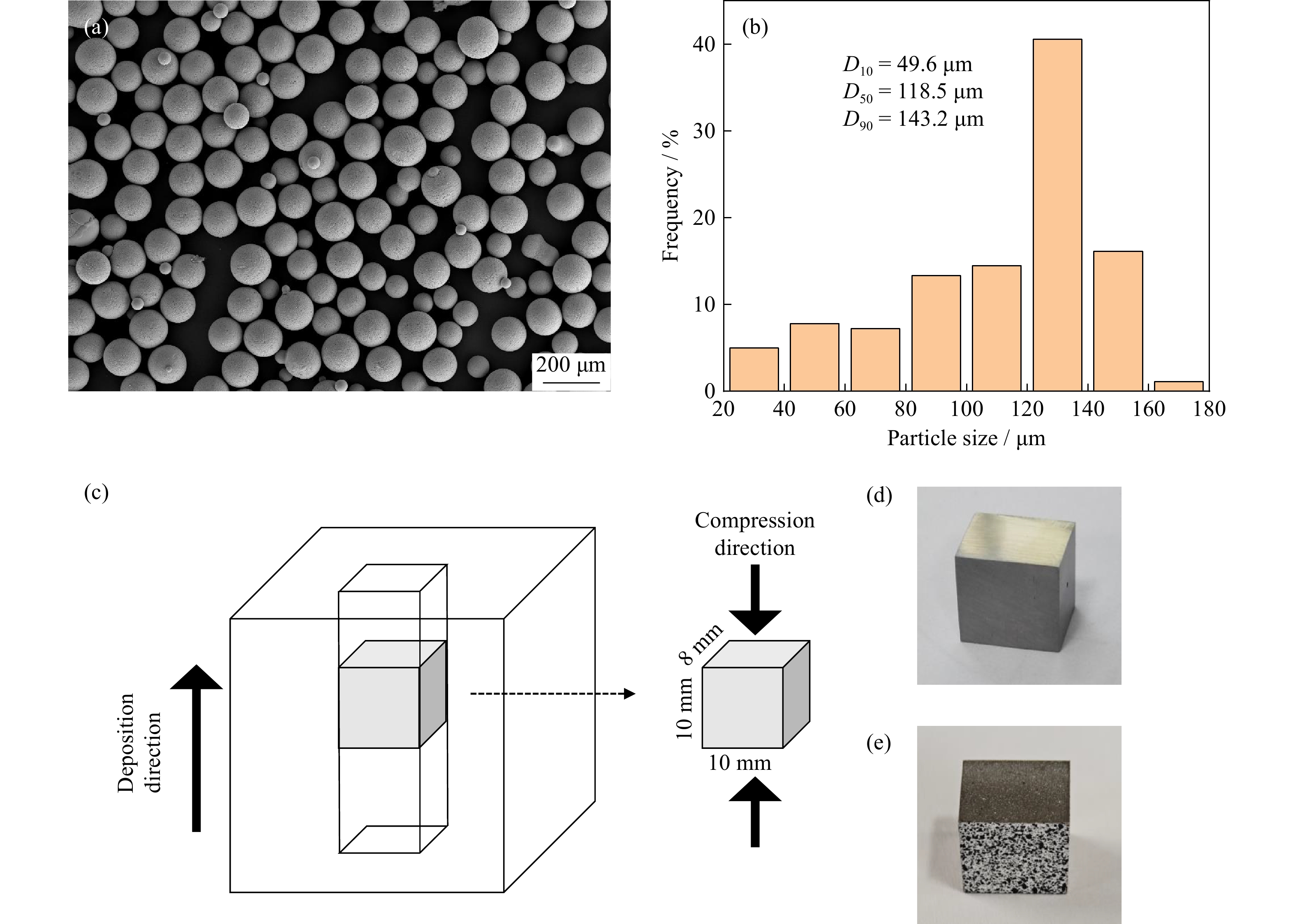 SEM images of specimens after SHPB experiments at varying strain