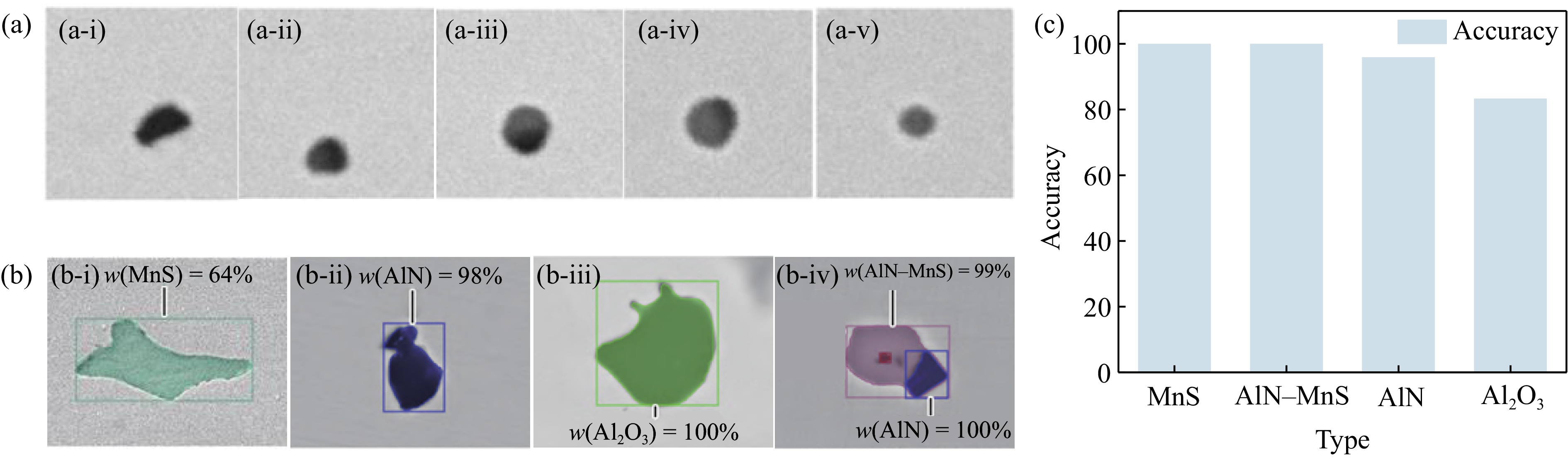 Artificial intelligence-assisted non-metallic inclusion particle
