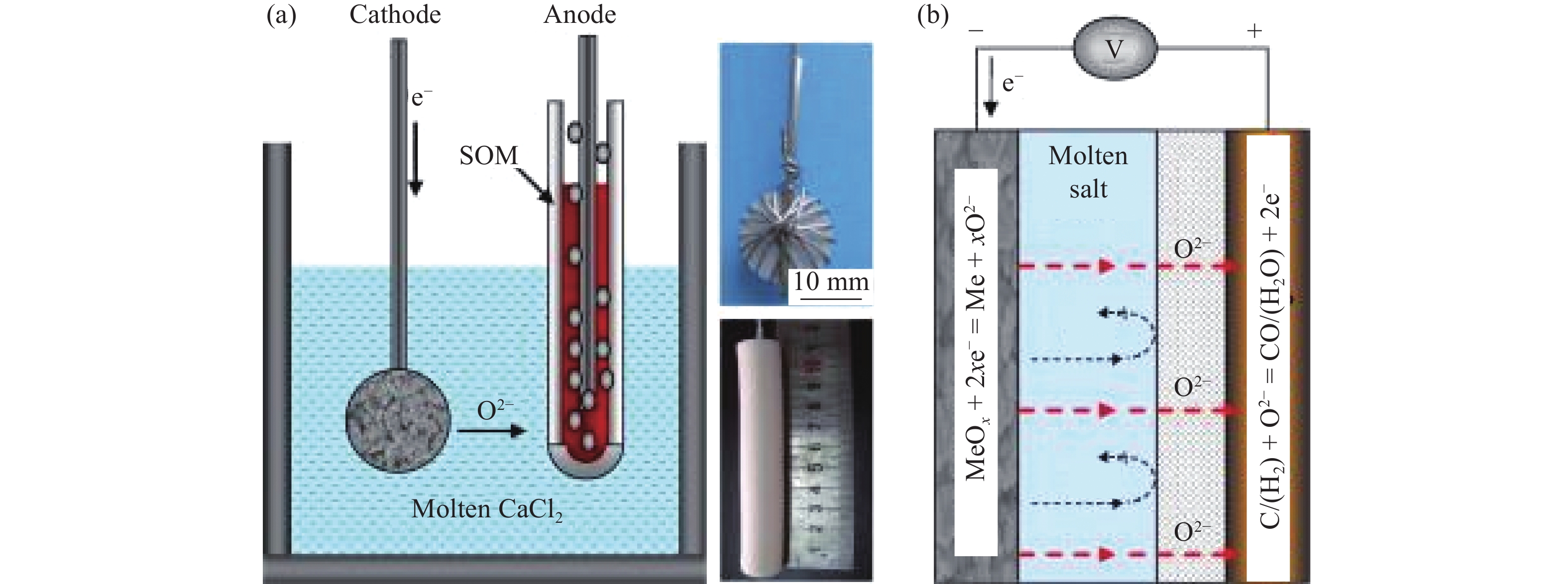 Scale-Up Study of Molten Salt Electrolysis using Cu or Ag Cathode and  Vacuum Distillation for the Production of High-Purity Mg Metal from MgO