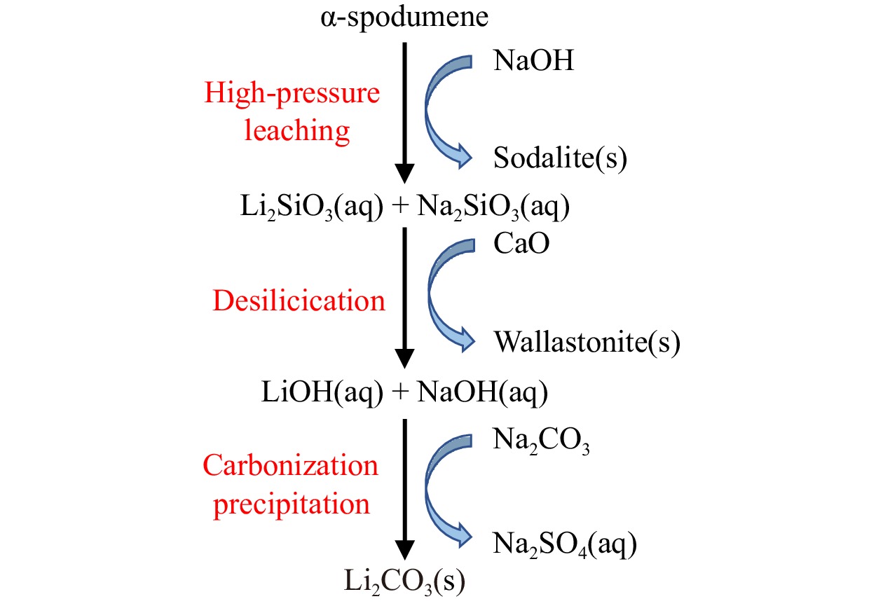 A review of lithium extraction from natural resources