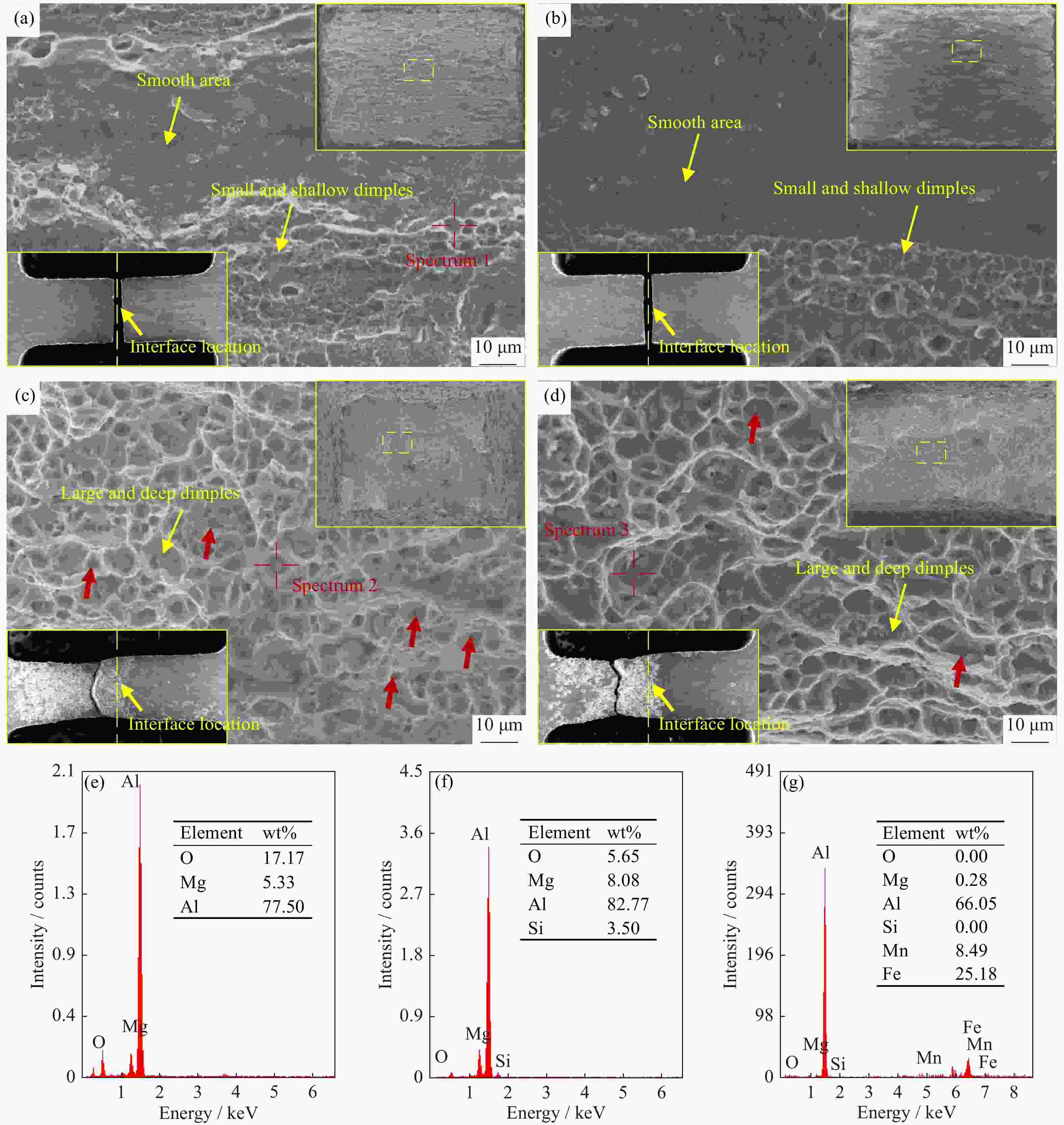 ## Captivating Insights into Pet Sem: Unleashing the Secrets of Pet Semantics